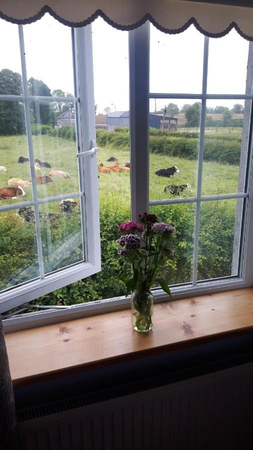 Nellies Cottage B&B Kilcogy Экстерьер фото